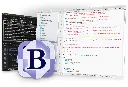 barebones-bbedit-screenshot.webp
